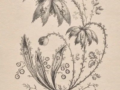 a black and white drawing of flowers and leaves