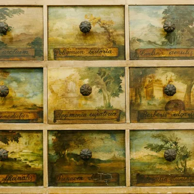 pexels-julia-volk-5273174 pexels-julia-volk-5273174